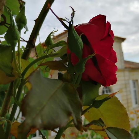 Domaine Du Chauvet Hotel Sainte-Eulalie  Buitenkant foto